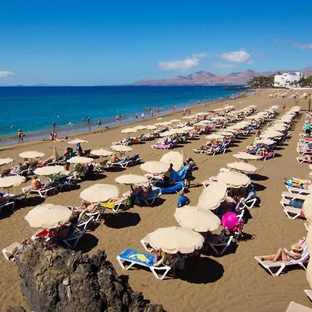 Paraiso فيلة *