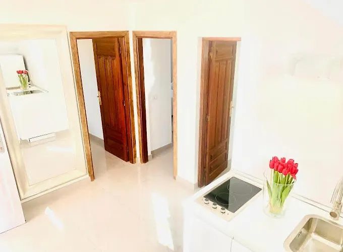 Paraiso 푸에르토 델 카르멘